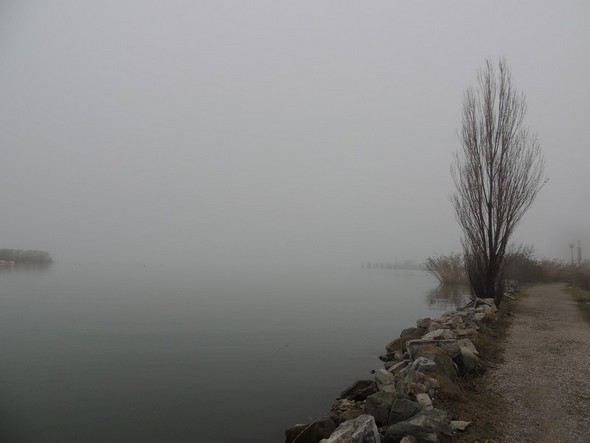 Photo prise de la digue nord du Porto del Sole, en direction du point d'arrivée du traghetto au pontile de Tuoro-Navaccia (à peine visible). Photo prise de la digue nord du Porto del Sole, en direction du point d'arrivée du traghetto au pontile de Tuoro-Navaccia (à peine visible).