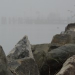 Cliquez sur la vignette pour obtenir un agrandissement. DSCN1858