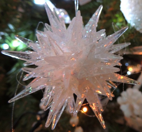 Une étoile de Noël...