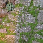 Cliquez sur la vignette pour obtenir un agrandissement.