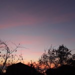 Cliquez sur la vignette pour obtenir un agrandissement.