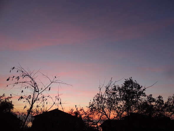 Toits de la via Guglielmi et bandes rosées des nuages au crépuscule - 18/12/2013, 18:02.