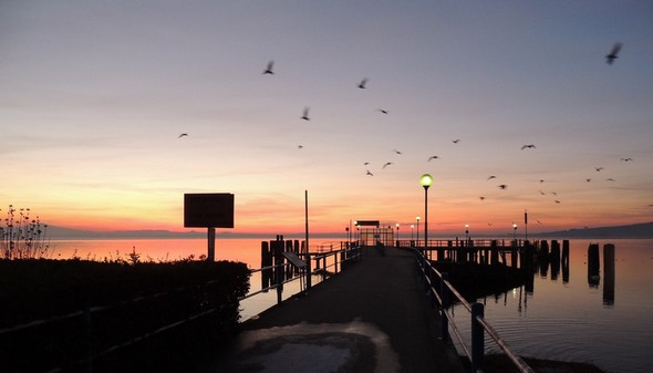 Le pontile de l'Isola Maggiore à la phase "nautique" du crépuscule - 18/12/2013.
