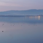 Cliquez sur la vignette pour obtenir un agrandissement.