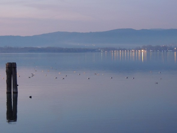 La rive nord-ouest du lac Trasimène et les lumières de Tuoro sul Trasimeno, vues du pontile de l'Isola Maggiore - 18/12/2013, 18:16.