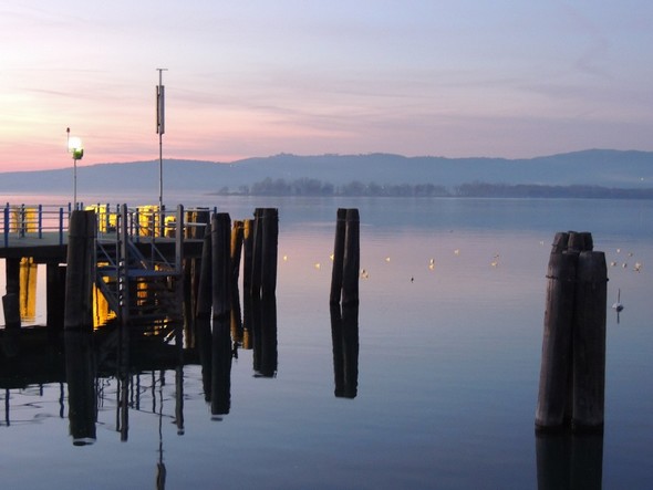 Extrémité du pontile de l'Isola Maggiore et son éclairage qui se diffuse jusqu'à un regroupement de canards - A l'arrière-plan, la Punta Navaccia - 18/12/2013, 18:16.