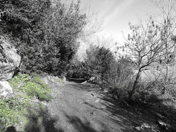 Lungolago - Teinte verte.