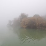 Cliquez sur la vignette pour obtenir un agrandissement.