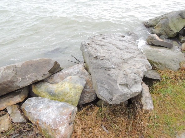 Janvier 2014 : un renforcement incontestable mais insuffisant.