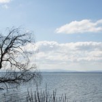 Cliquez sur la vignette pour obtenir un agrandissement.