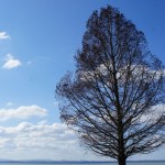 Cliquez sur la vignette pour obtenir un agrandissement.