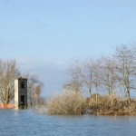 Cliquez sur la vignette pour obtenir un agrandissement.