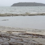 Cliquez sur la vignette pour obtenir un agrandissement.