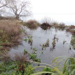 Cliquez sur la vignette pour obtenir un agrandissement.