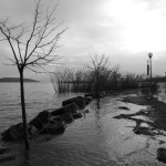 Cliquez sur la vignette pour obtenir un agrandissement.