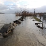 Cliquez sur la vignette pour obtenir un agrandissement.