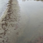 Cliquez sur la vignette pour obtenir un agrandissement.