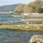 Cliquez sur la vignette pour obtenir un agrandissement.