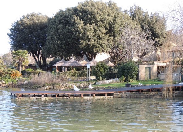La terrasse en bois qui prolonge dans le Trasimène le jardin du bar des Silvi. - Au fond les parasols en paille du "Il Molo".