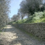 Cliquez sur la vignette pour obtenir un agrandissement.