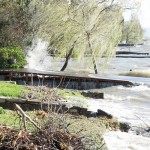 Cliquez sur la vignette pour obtenir un agrandissement.