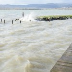 Cliquez sur la vignette pour obtenir un agrandissement.