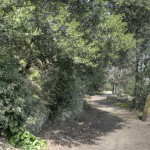 Cliquez sur la vignette pour obtenir un agrandissement.