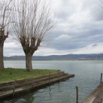 Cliquez sur la vignette pour obtenir un agrandissement.