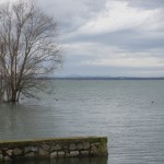 Cliquez sur la vignette pour obtenir un agrandissement.