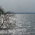 Cliquez sur la vignette pour obtenir un agrandissement.