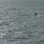 Cliquez sur la vignette pour obtenir un agrandissement.