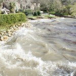 Cliquez sur la vignette pour obtenir un agrandissement.