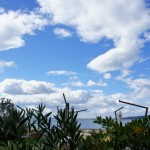 Cliquez sur la vignette pour obtenir un agrandissement.