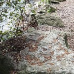 Cliquez sur la vignette pour obtenir un agrandissement.