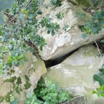 Cliquez sur la vignette pour obtenir un agrandissement.