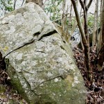 Cliquez sur la vignette pour obtenir un agrandissement.