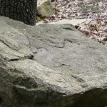 Cliquez sur la vignette pour obtenir un agrandissement.