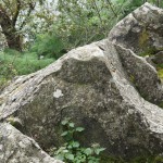 Cliquez sur la vignette pour obtenir un agrandissement.