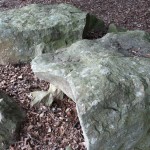 Cliquez sur la vignette pour obtenir un agrandissement.