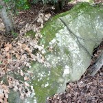 Cliquez sur la vignette pour obtenir un agrandissement.