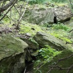 Cliquez sur la vignette pour obtenir un agrandissement.