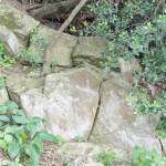 Cliquez sur la vignette pour obtenir un agrandissement.