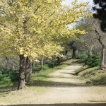 Cliquez sur la vignette pour obtenir un agrandissement.