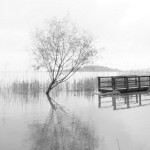 Cliquez sur la vignette pour obtenir un agrandissement.