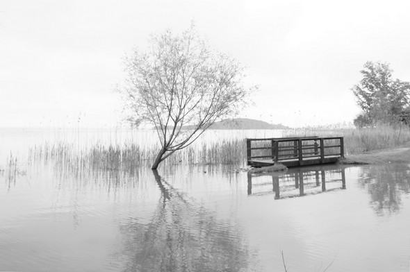 Au bord du Trasimène, un sentier inondé à San Feliciano.