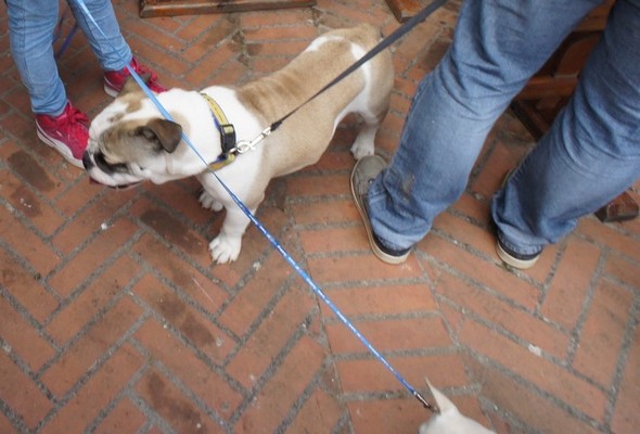 Quand les fils s'emmêlent, la situation peut devenir problématique...