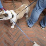 Cliquez sur la vignette pour obtenir un agrandissement.