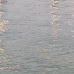 Cliquez sur la vignette pour obtenir un agrandissement.