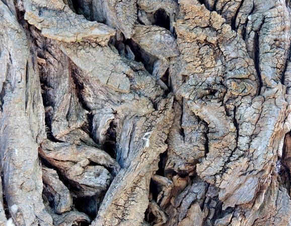 Entrelacements chaotiques, failles ténébreuses...