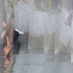 Cliquez sur la vignette pour obtenir un agrandissement.